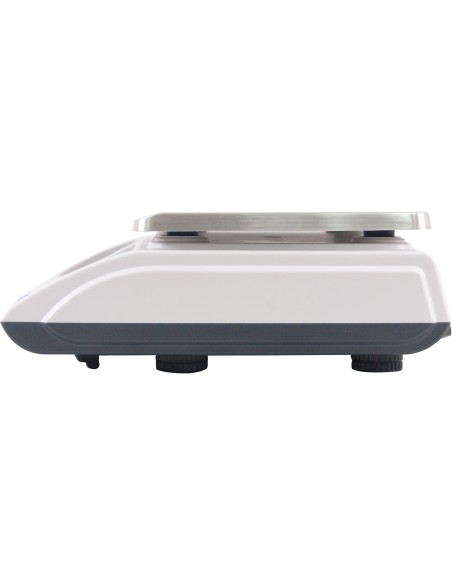 Elektroninės prekybinės svarstyklės GR